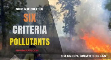 Air Quality: Criteria Pollutants and Beyond