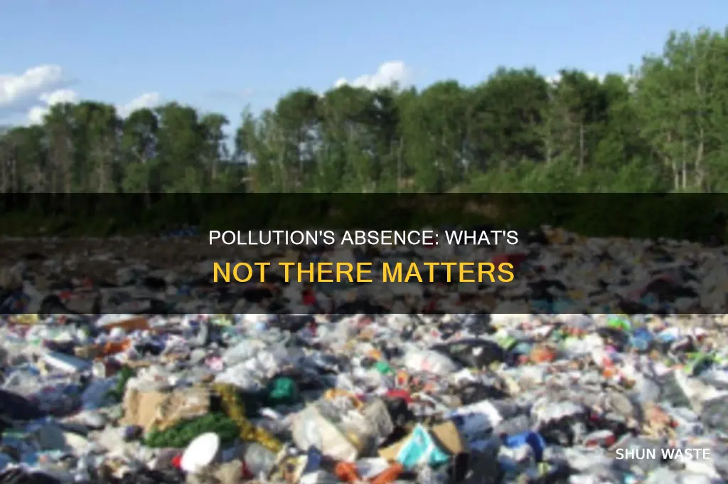 which is not part of the characteristics of pollution