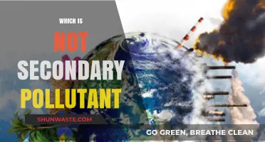 Understanding Primary Pollutants: What Are They Not?