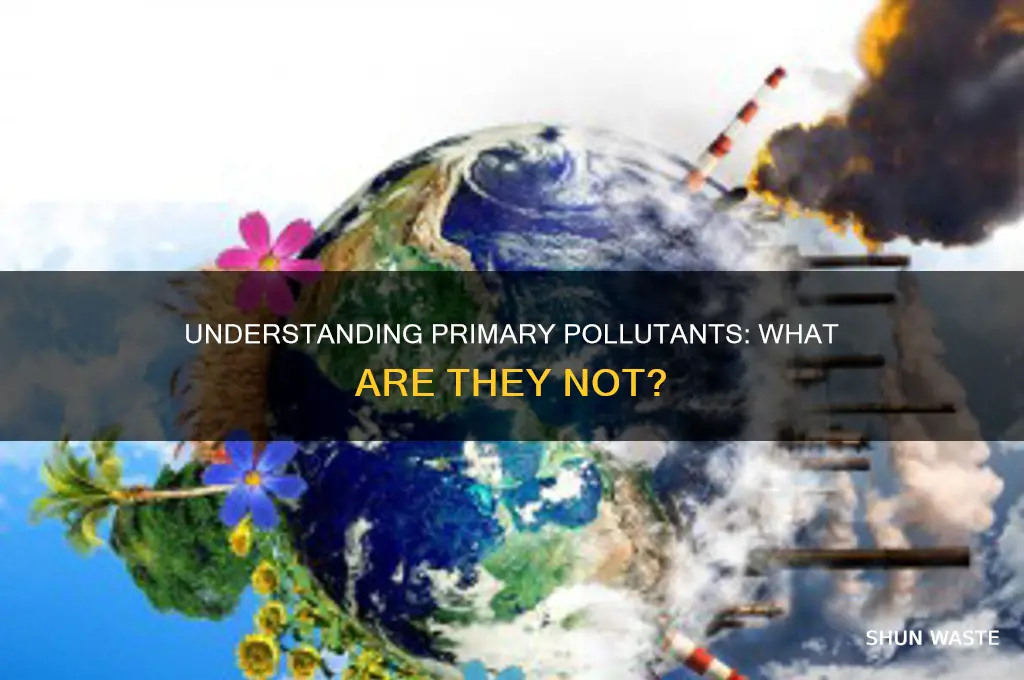 which is not secondary pollutant