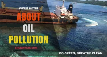 Oil Pollution: Myths and Facts