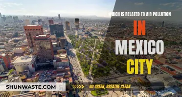 Mexico City's Air Pollution: A Crisis Unfolding