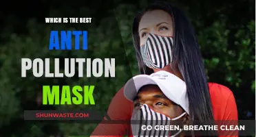Anti-Pollution Masks: Picking the Best One for You