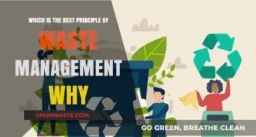 Sustainable Solutions: Unveiling the Premier Principle of Waste Management