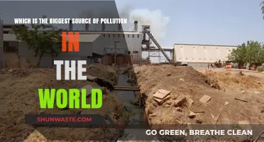 Major Global Pollutant Sources Revealed