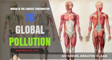 The Culprit Behind Global Pollution Revealed