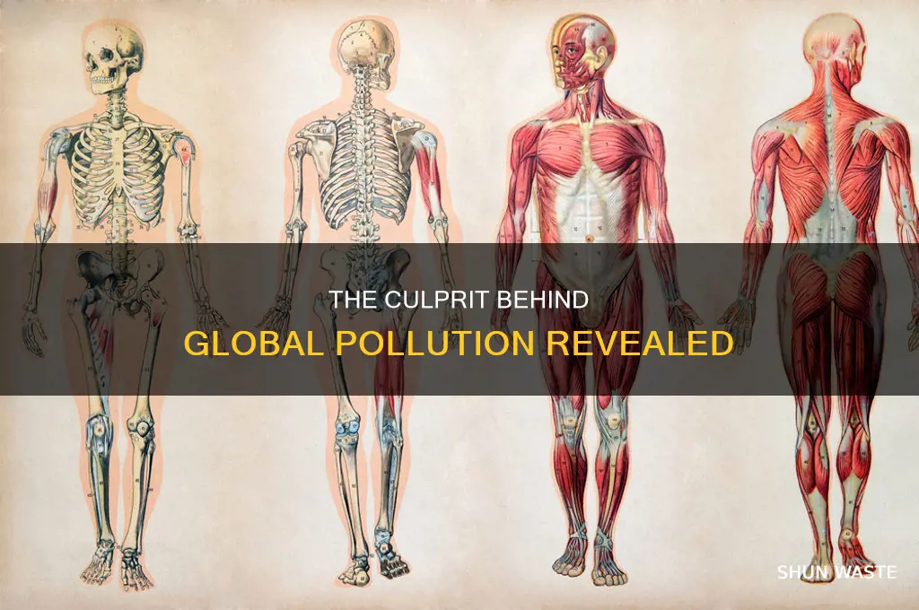 which is the largest contributor to global pollution