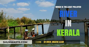 Pristine Rivers: Kerala's Cleanest Waterways