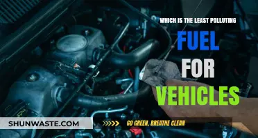Greenest Vehicle Fuel: What's the Cleanest Option?