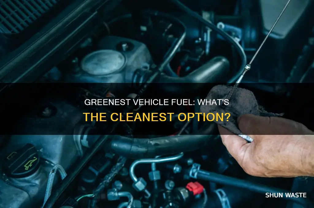 which is the least polluting fuel for vehicles
