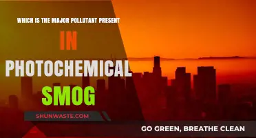 Understanding the Key Pollutants in Photochemical Smog