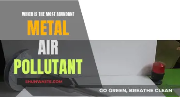 Air Pollution's Most Abundant Metal Villain