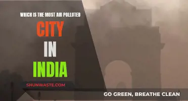 Air Pollution: India's Most Polluted City