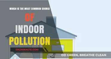 Understanding Indoor Air Pollution: Common Sources, Big Risks