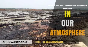 Hydrocarbon Hazards: The Most Lethal Air Pollutants