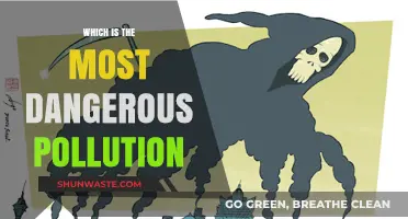Deadly Pollution: The Most Dangerous Threat
