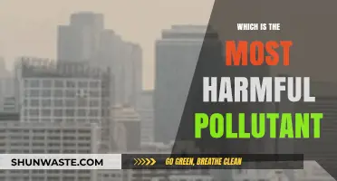 Air Pollutants: The Most Dangerous Killers