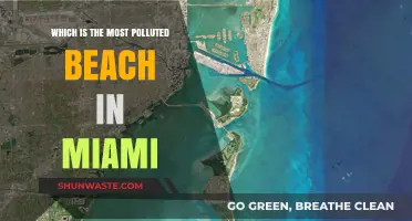 Miami's Most Polluted Beach: A Troubling Truth