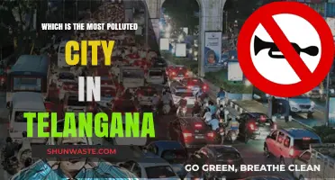 Telangana's Most Polluted City: A Troubling Reality