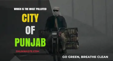 Punjab's Most Polluted City: A Troubling Reality
