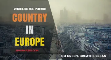 Toxic Europe: Who's the Worst Polluter?