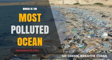 The Ocean's Pollution Crisis: Which is the Worst Offender?