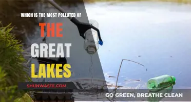 Great Lakes Pollution: Which Lake Suffers the Most?