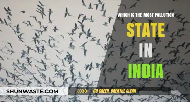 Indian States and Their Pollution Problems