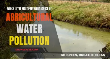 Agricultural Water Pollution: The Hidden Culprit Unveiled