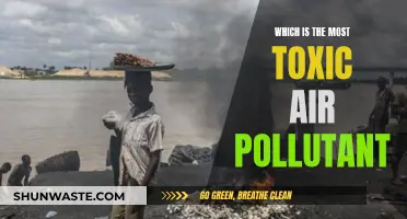 Air Toxics: What's the Deadliest Pollutant?