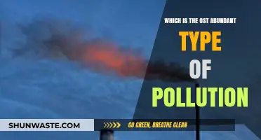 The Most Common Type of Pollution and its Impact