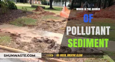 Sediment Pollution: Uncovering the Sources and Their Impact