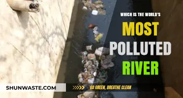 The World's Most Polluted River: A Toxic Legacy