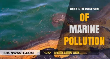 The Deadliest Marine Pollution: A Clear and Present Danger