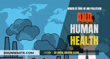 Air Pollution: Understanding Its Impact on Human Health