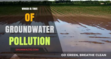 Groundwater Pollution: Understanding the True Impact
