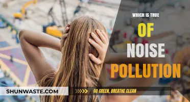 Noise Pollution: Understanding its True Impact