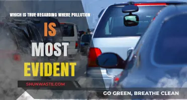 Pollution's Most Evident Locations: A Revealing Truth