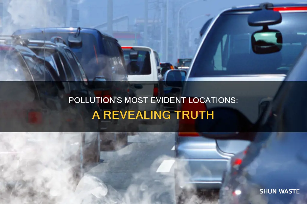 which is true regarding where pollution is most evident