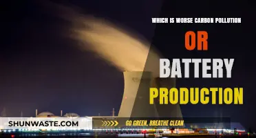 Carbon vs Batteries: Pollution's Lesser Evil?