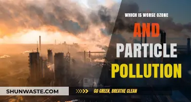 Ozone or Particle Pollution: Which is More Harmful?