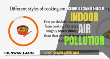 Everyday Items Polluting Your Indoor Air