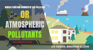 Air Pollution: Sources and Atmospheric Pollutants