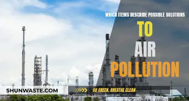 Solutions to Air Pollution: What Can We Do?