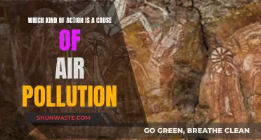 Human Activities: Air Pollution's Root Cause
