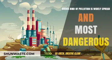 Pollution's Most Dangerous and Widespread Forms