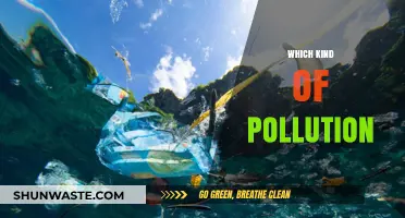 Understanding Pollution: What's Harming Our Environment?