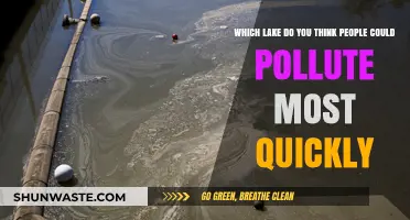 Human Impact: Lakes and Their Pollution Vulnerability