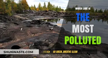 The Most Polluted Lake: A Troubling Title