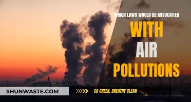 Air Pollution Laws: Understanding Environmental Legalities